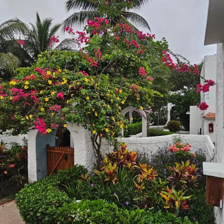 Precioso Dpto a 20m de la playa Con Aire Acondicionado en Ambos Dormitorios Club Casablanca - Apartment with Sea View - 32