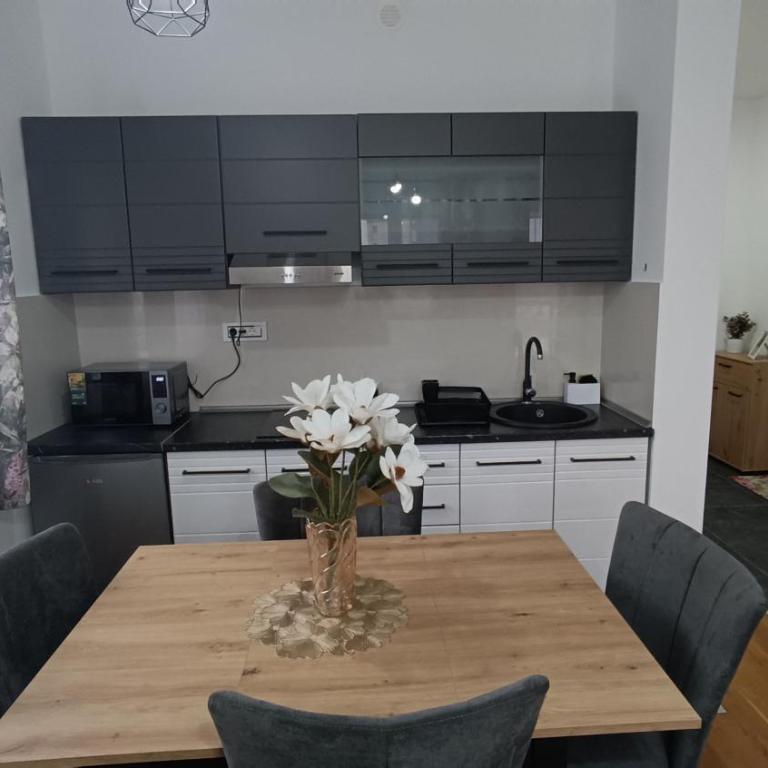 Aurea Elegant Lux Residence - Apartman sa 1 Spavaćom Sobom - 13