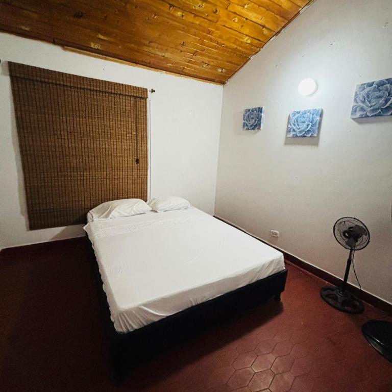Casa Olivia - Three-Bedroom House - 26