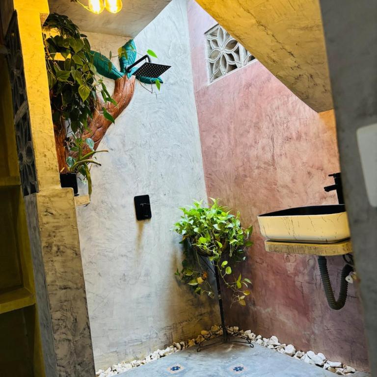 Casa Olivia - Three-Bedroom House - 30