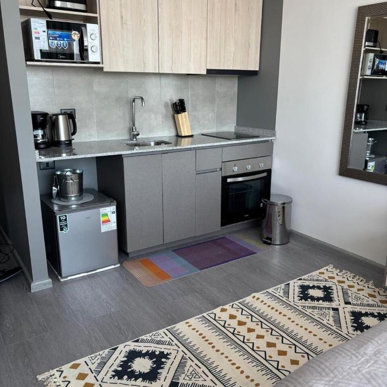 Departamento a pasos de Movistar Arena y Parque Ohiggins - Two-Bedroom Apartment - 8