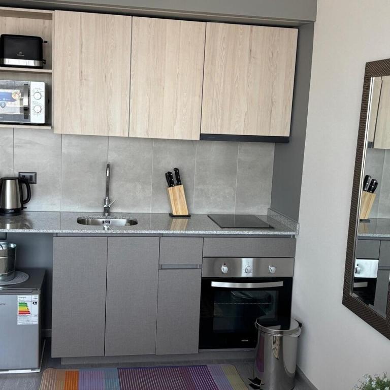 Departamento a pasos de Movistar Arena y Parque Ohiggins - Two-Bedroom Apartment - 17