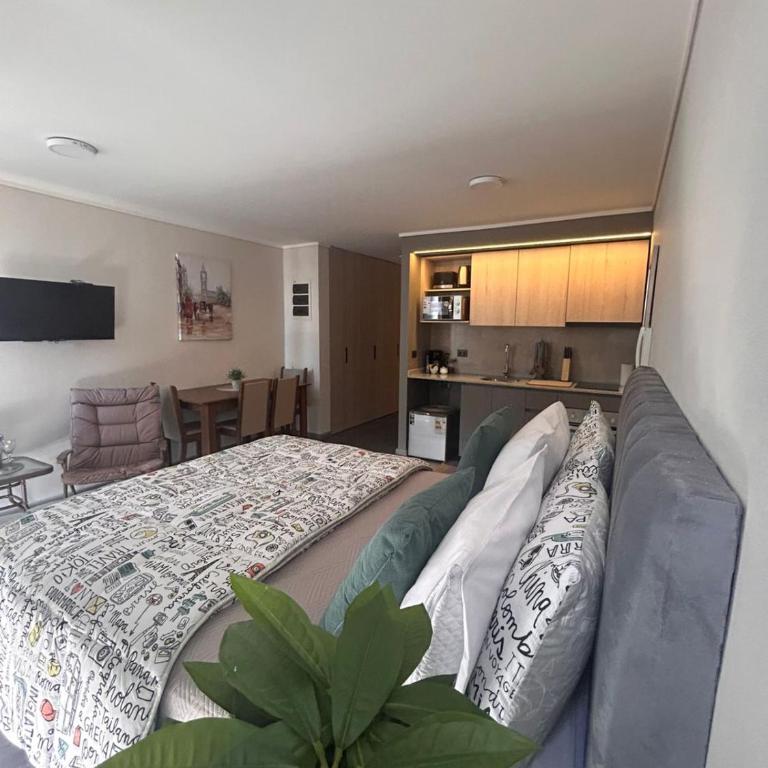 Departamento a pasos de Movistar Arena y Parque Ohiggins - Two-Bedroom Apartment - 21