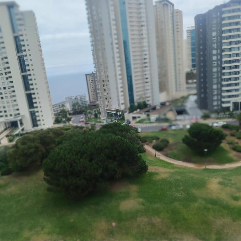 Despierta frente al mar y camina a tu café favorito - Two-Bedroom Apartment - 1