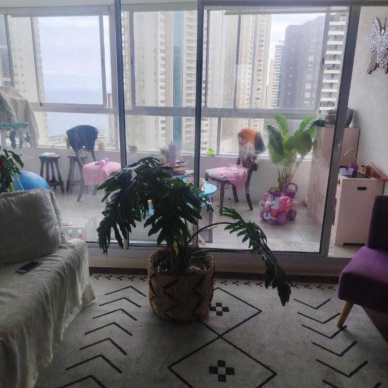 Despierta frente al mar y camina a tu café favorito - Two-Bedroom Apartment - 3