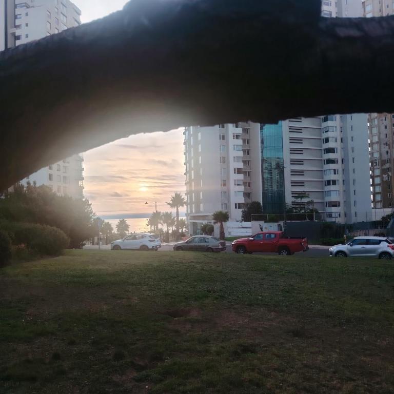 Despierta frente al mar y camina a tu café favorito - Two-Bedroom Apartment - 15