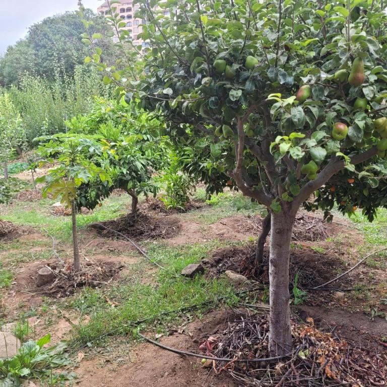 Único Loft Algarrobo Club de Yates - Apartamento Deluxe de 2 dormitorios con vistas al jardín - 23