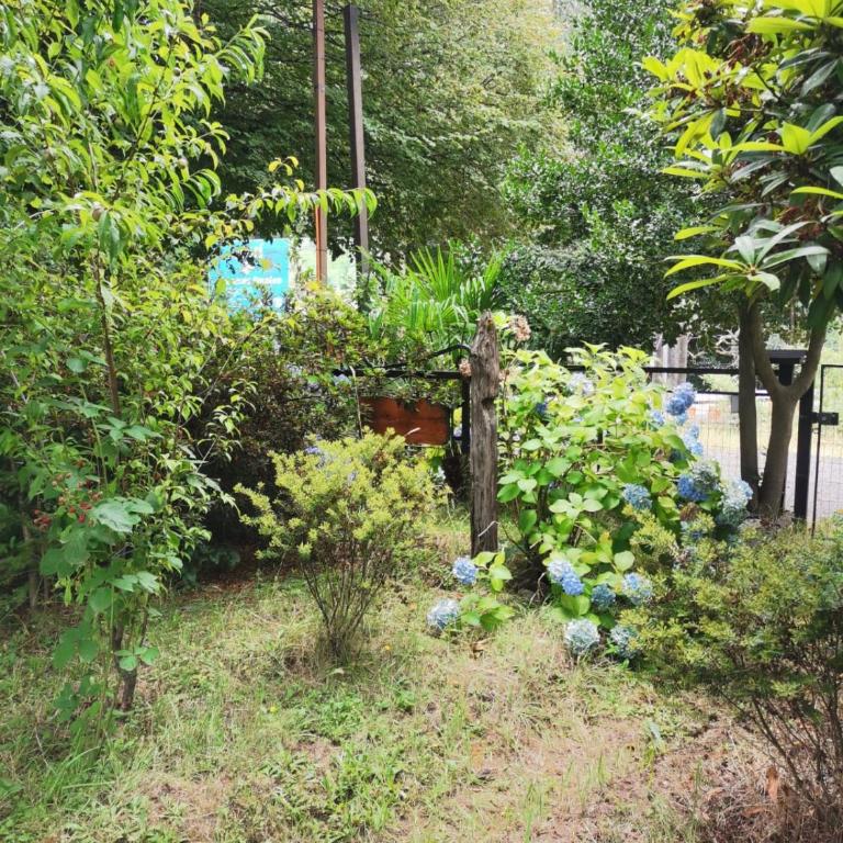 Casa rustica el Cristo, Caburgua - Three-Bedroom House - 8