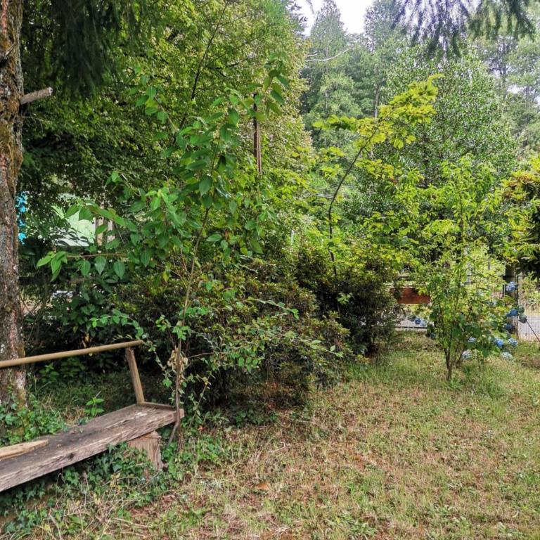 Casa rustica el Cristo, Caburgua - Three-Bedroom House - 11