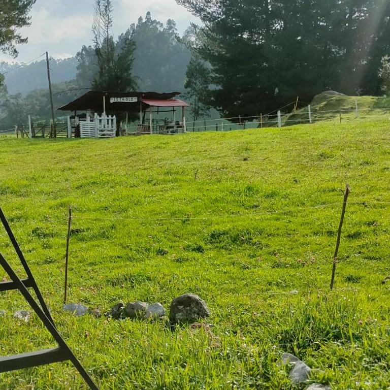 Finca Agroturistica ANGUPACHA - Three-Bedroom Chalet - 27