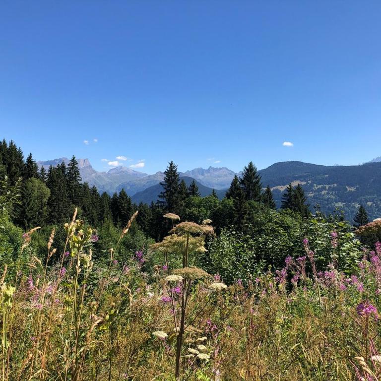 Full nature, 4 people, Saint-Gervais, Chamonix - Appartement 3 Chambres - 7