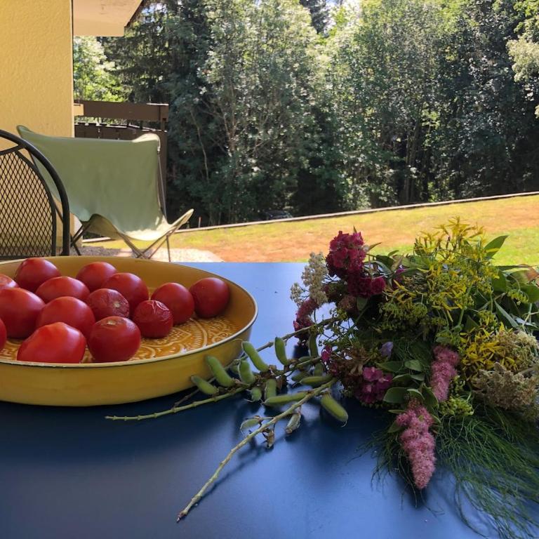 Full nature, 4 people, Saint-Gervais, Chamonix - Appartement 3 Chambres - 10
