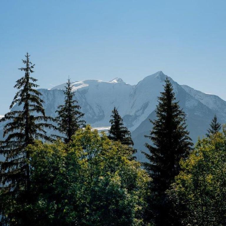 Full nature, 4 people, Saint-Gervais, Chamonix - Appartement 3 Chambres - 22