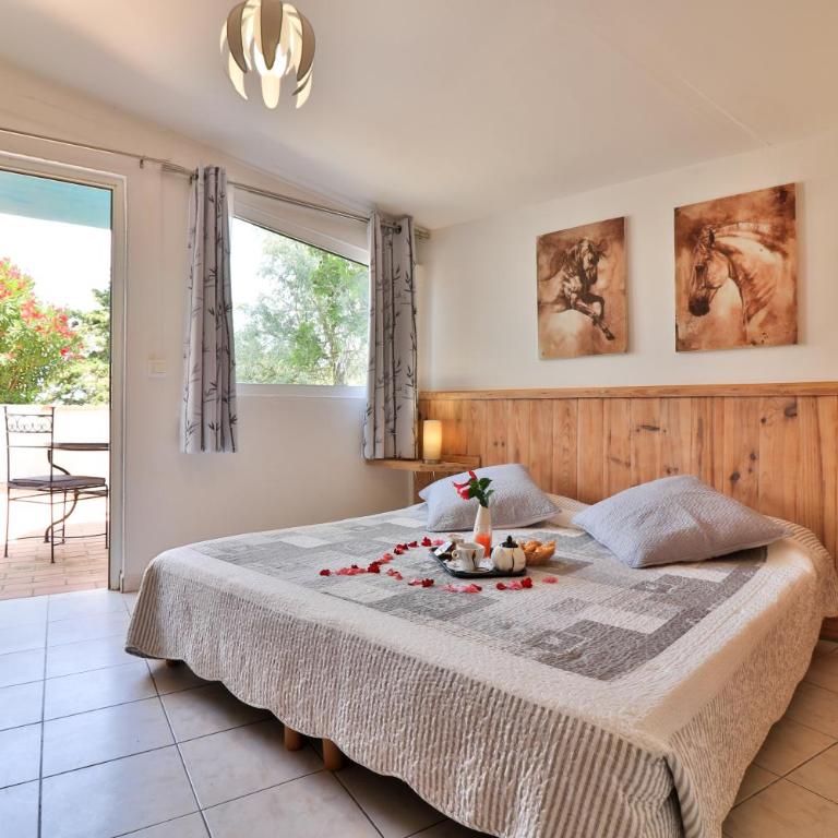 L'auberge Camarguaise - Hébergement Double Standard avec Terrasse et Vue - 1