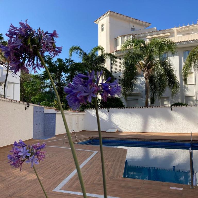 LA CARIHUELA Appartement vue mer - Apartamento de 1 dormitorio con vistas al mar - 3
