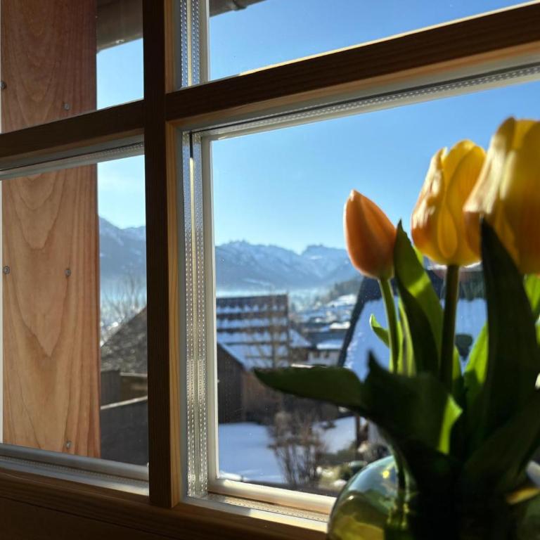 Ferienwohnungen Alpentraum - Fischinger BergTraum - Apartment mit 3 Schlafzimmern - 5