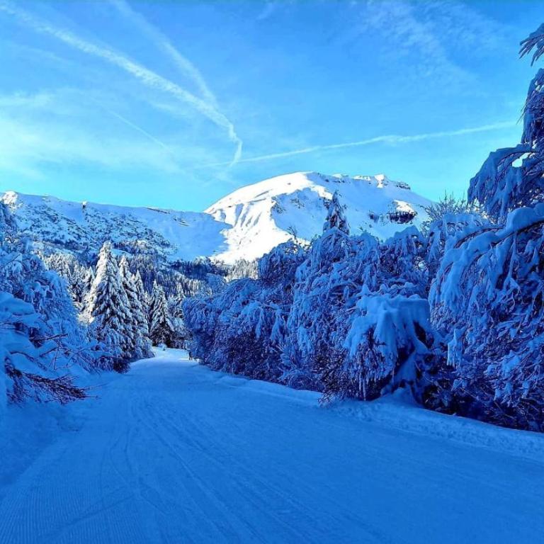 Cristaux Studio, with view to Mont Blanc - Appartement 1 Chambre - 4
