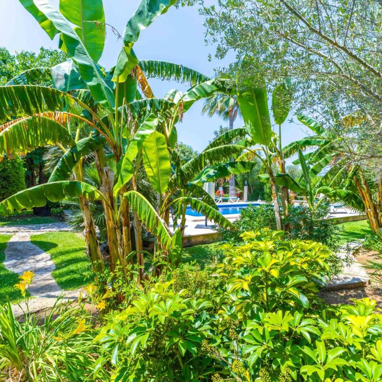 Sunny villa with private pool, AC and WIFI - Four-Bedroom House - 40
