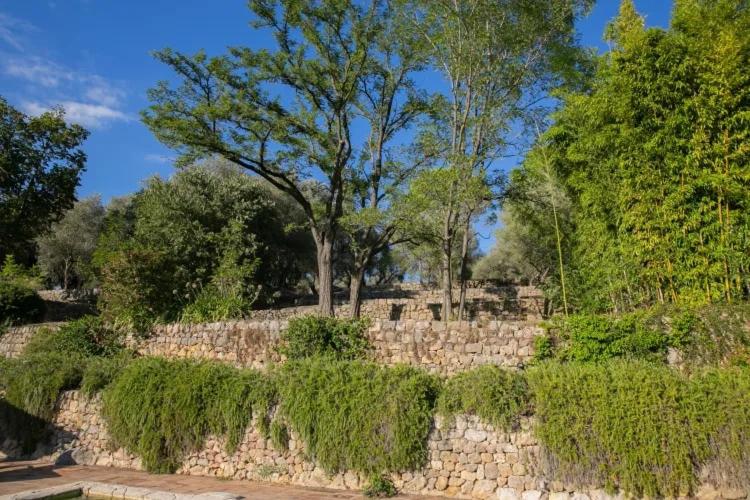 Domaine luxueux Provençal avec Piscine - Villa - 22