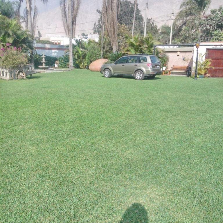 Nice country house with a swimming pool and large garden - Three-Bedroom House - 31