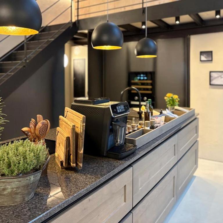 Zur Schmiede - Alploft 1 - Apartment - 12