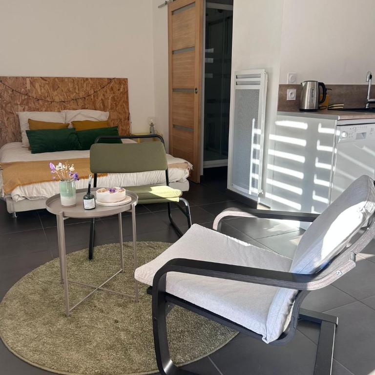 Chez Ambre et Lulu - Studio centre ville avec piscine - Appartement 1 Chambre - 4