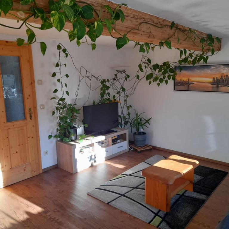 Ausseer Kleeblatt - Appartement avec Balcon - 28