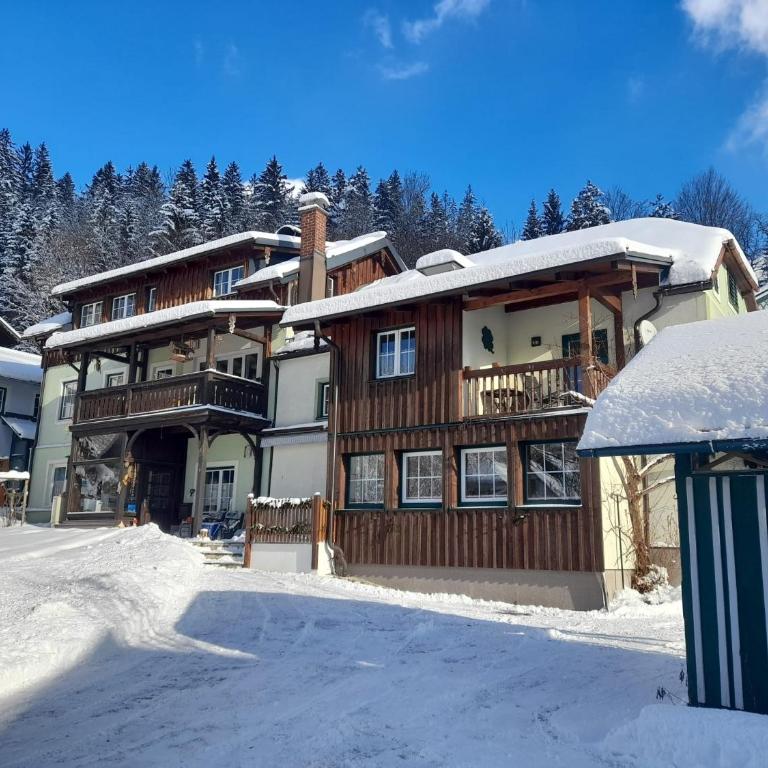 Ausseer Kleeblatt - Appartement avec Terrasse - 41