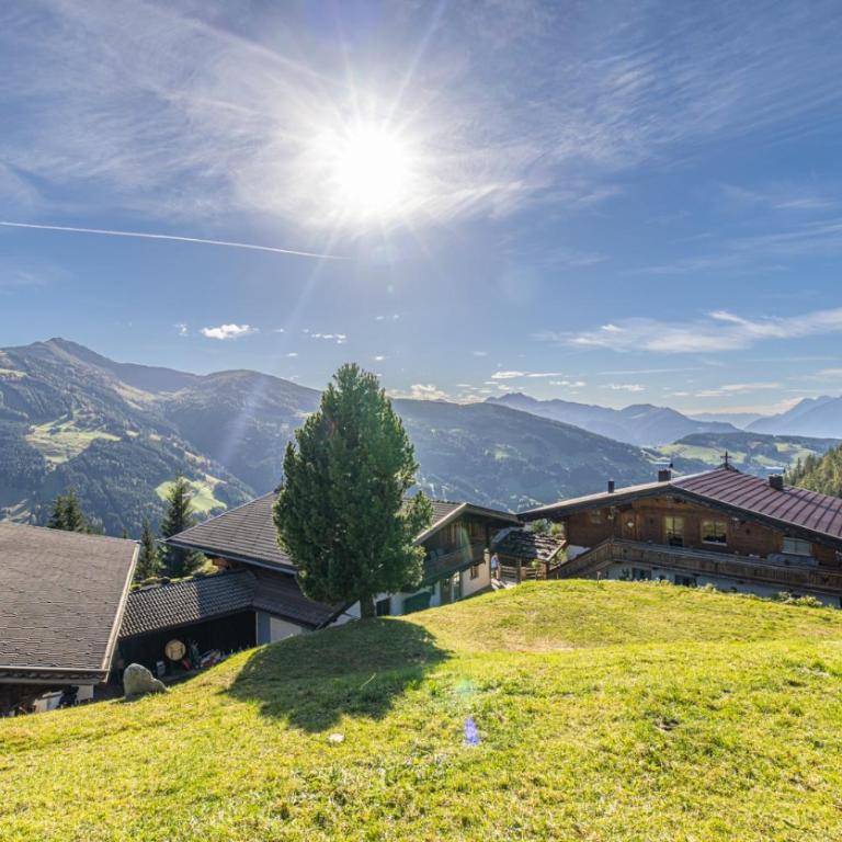 Chalet Bischofer- Bergwelt - Chalet mit Balkon und Terrasse (20 Erwachsene) - 78