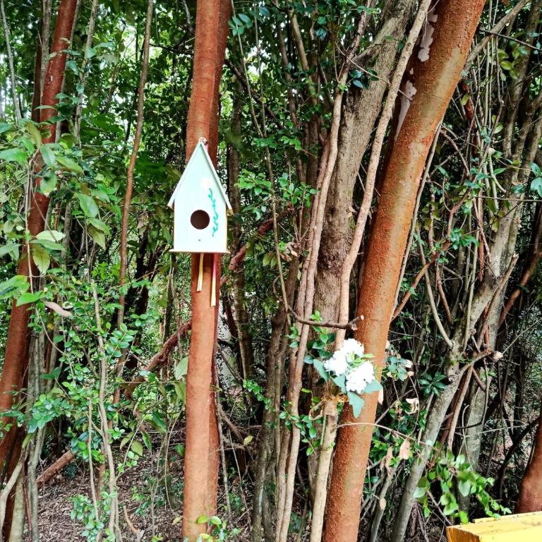 Refugio camino a lago riesco - One-Bedroom House - 2