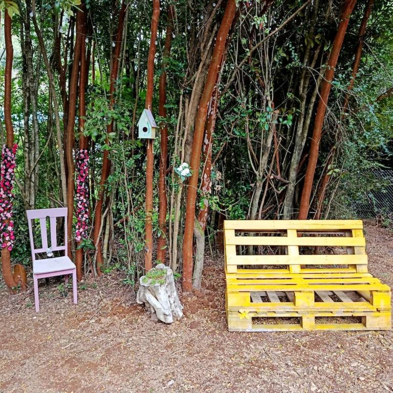 Refugio camino a lago riesco - One-Bedroom House - 3
