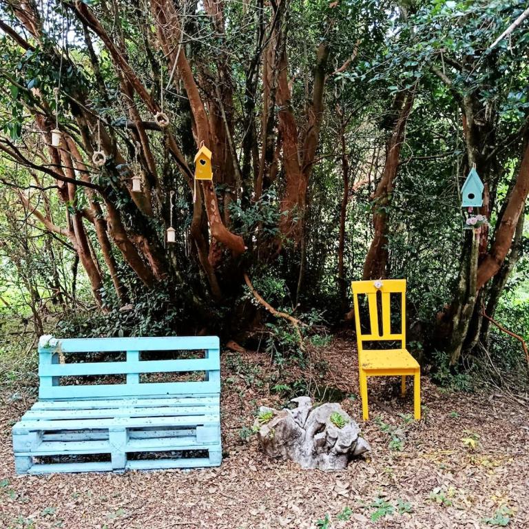 Refugio camino a lago riesco - One-Bedroom House - 8