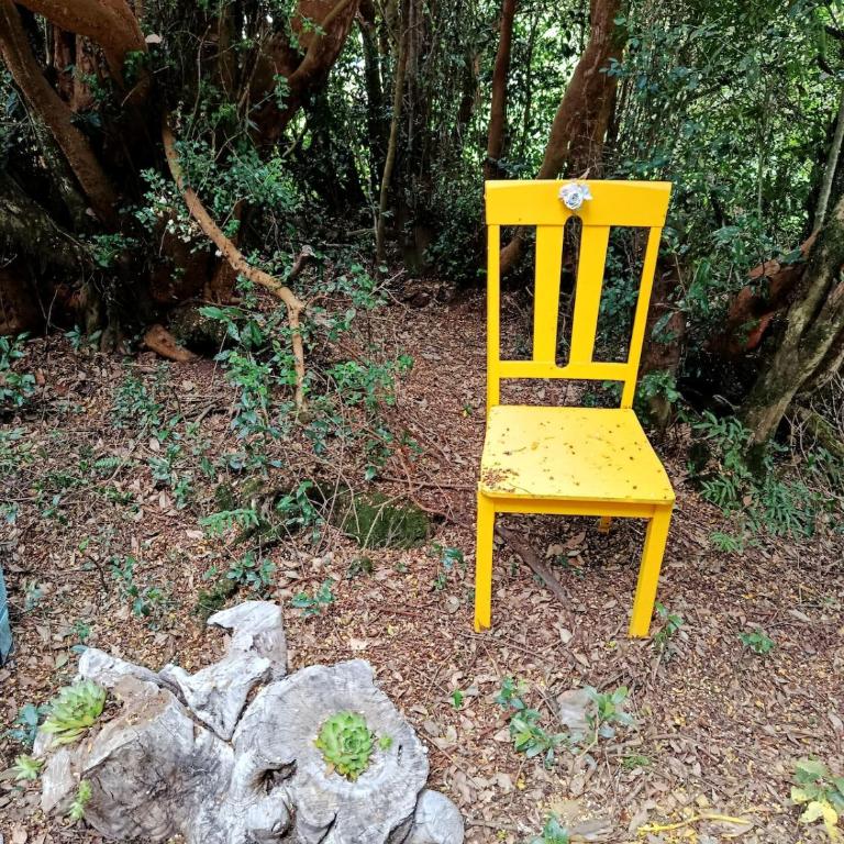 Refugio camino a lago riesco - One-Bedroom House - 13