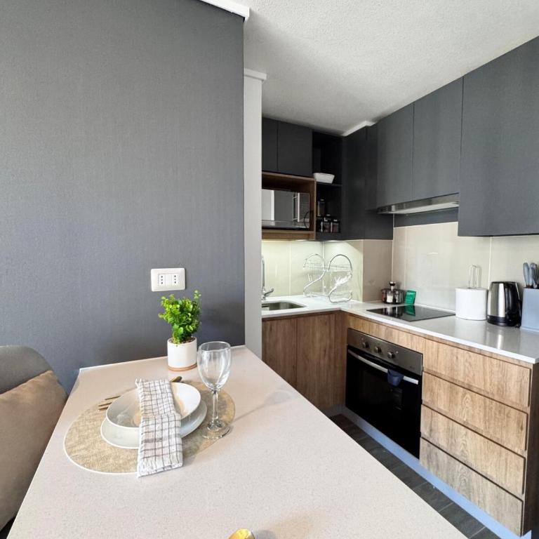 Acogedor y Luminoso Espacio Céntrico En Santiago - One-Bedroom Apartment - 2