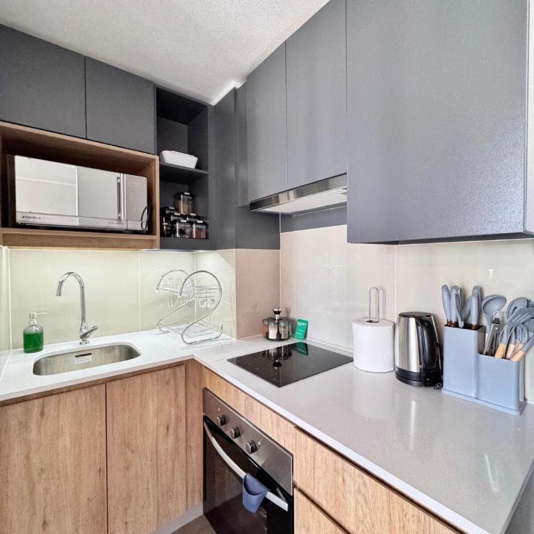 Acogedor y Luminoso Espacio Céntrico En Santiago - One-Bedroom Apartment - 7