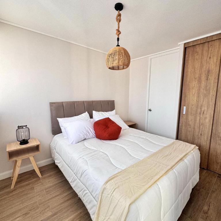 Acogedor y Luminoso Espacio Céntrico En Santiago - One-Bedroom Apartment - 18