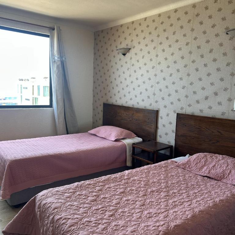 Hotel Capri - Two-Bedroom Standard Apartment - 7
