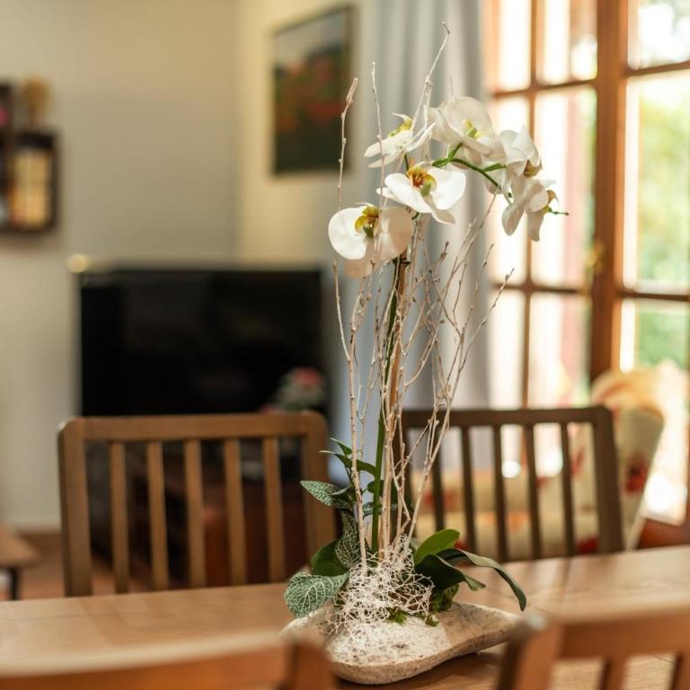 Casa cerca Playa Cuevas del Mar Llanes - River - Deluxe Villa - 13
