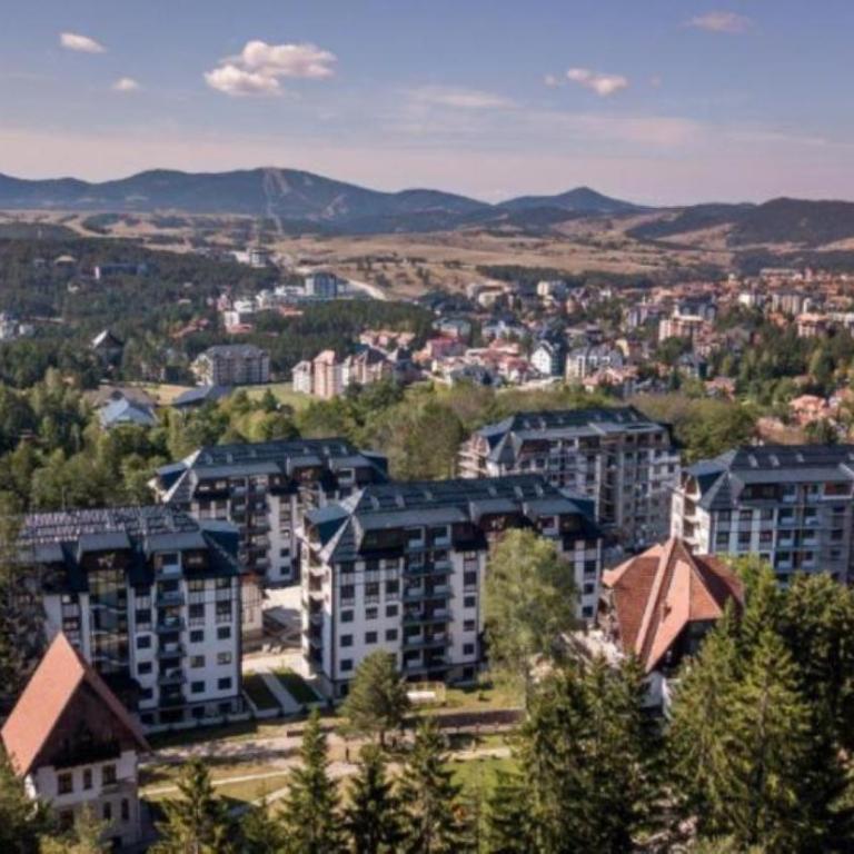 Zlatibor 2 - One-Bedroom Apartment - 68