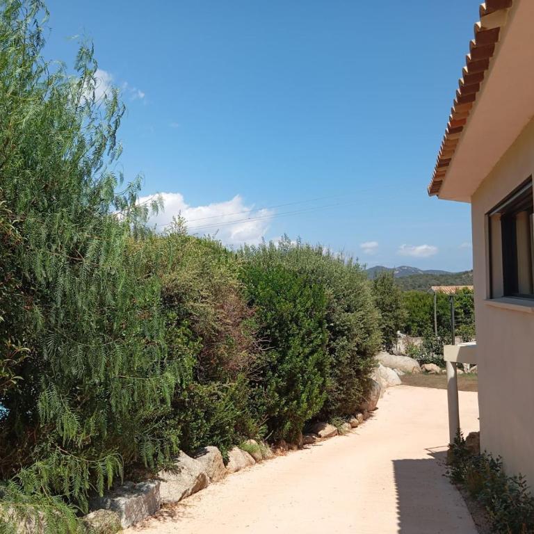 villa alba - Villa 3 Chambres - 11