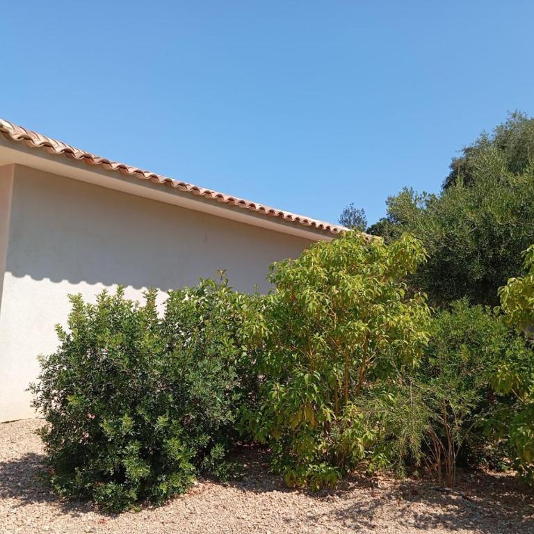 villa alba - Villa 3 Chambres - 25
