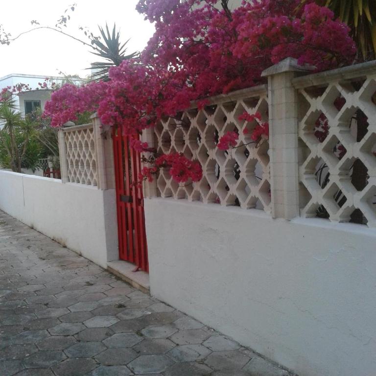 Baia Verde villa1 - Casa Vacanze - 22