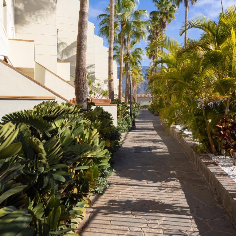 Home2Book Calm Living Costa Adeje with Terraces - Apartamento de 1 dormitorio - 28