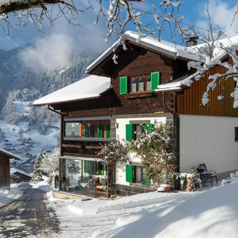 Sonnenstube - Apartment mit 2 Schlafzimmern - 1