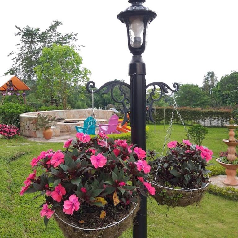 El Oasis Organic Farm - Casa - 6