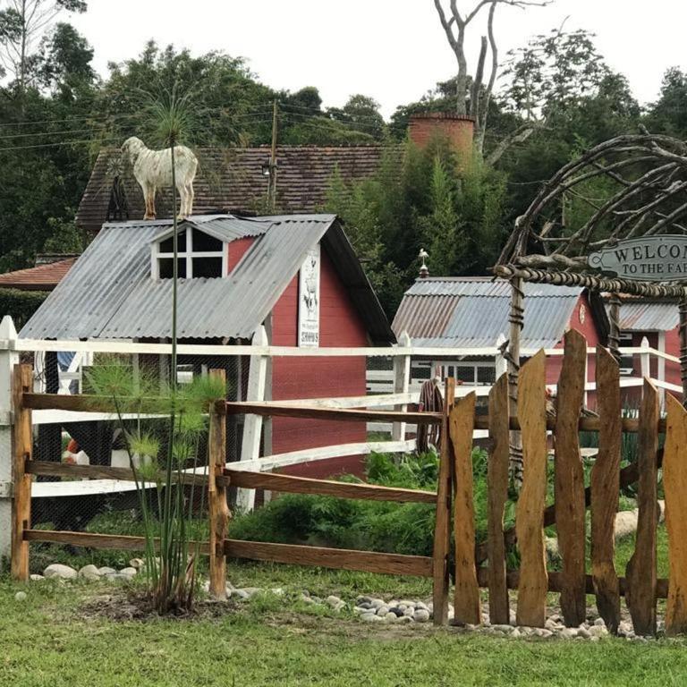El Oasis Organic Farm - Casa - 13