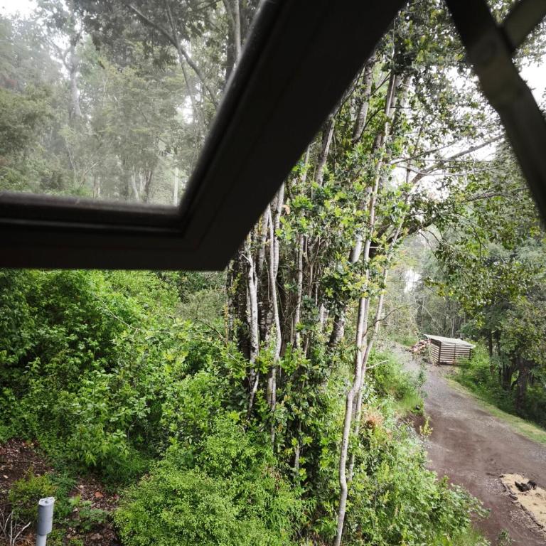 Tiny house en medio del bosque nativo - Two-Bedroom Chalet - 7