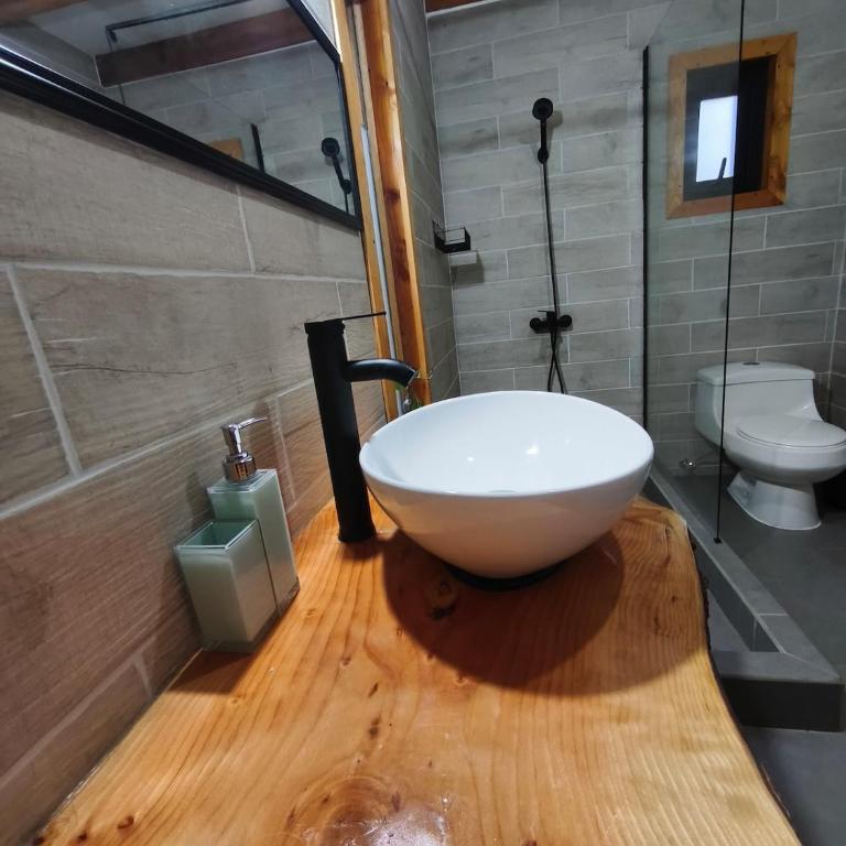 Tiny house en medio del bosque nativo - Two-Bedroom Chalet - 20