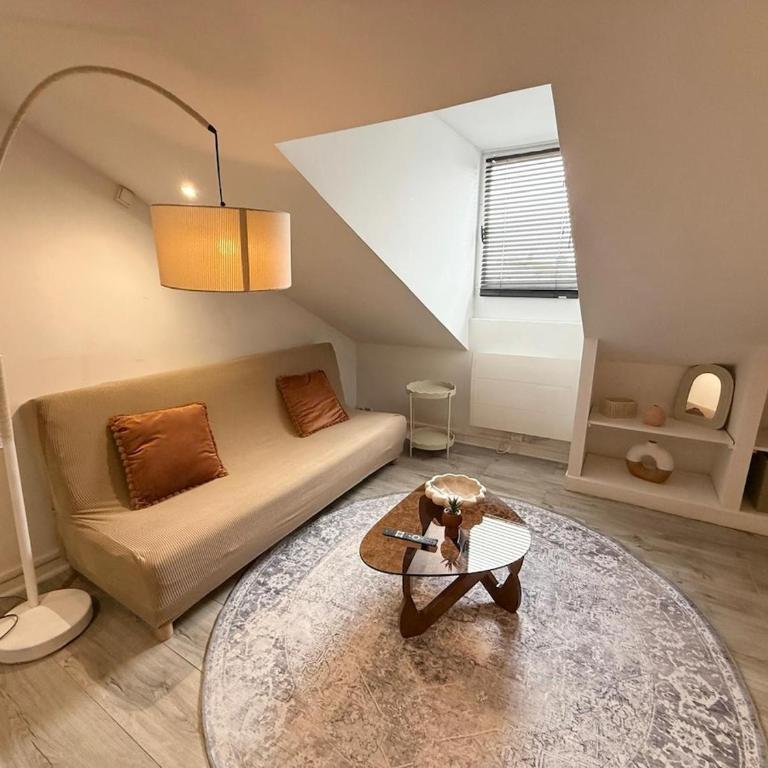 Aimé Collomb - Studio - Guillotière - Appartement 2 Chambres - 19