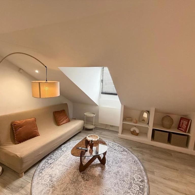 Aimé Collomb - Studio - Guillotière - Appartement 2 Chambres - 25